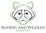 Tustin Wildlife Removal